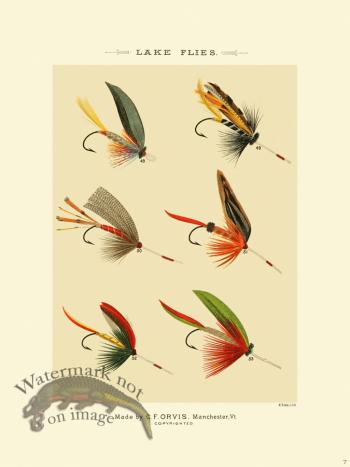 Favorite Flies 07 Lake